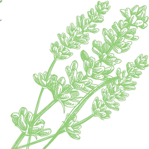 مزيل عرق الترا ماكس  برائحة طبيعية روزماري ولافندر كبير - من ارم اند همر