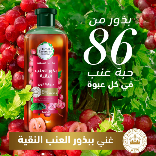 شامبو  الخالي  البارابين والسلفات لحماية اللون ببذور العنب النقية- من هيربال